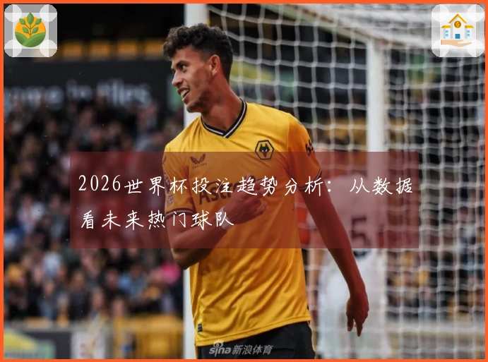 2026世界杯投注趋势分析：从数据看未来热门球队