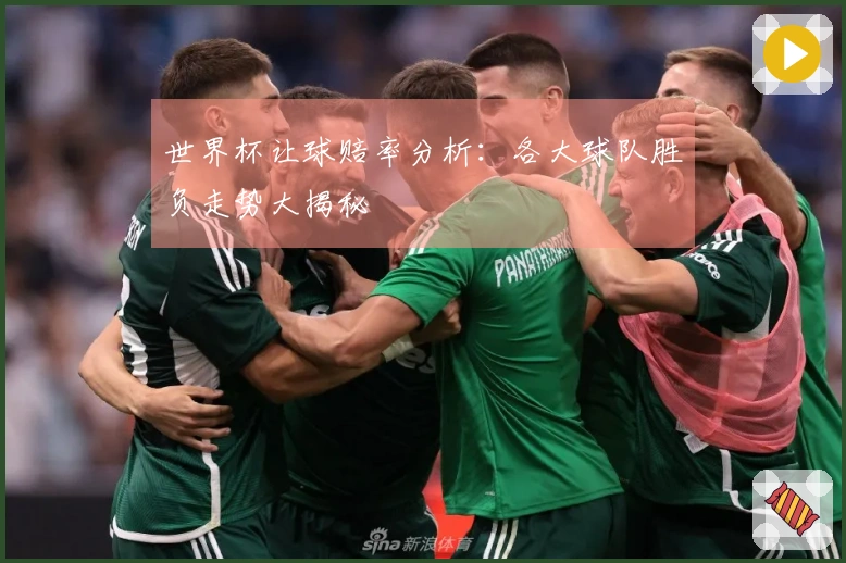 世界杯让球赔率分析：各大球队胜负走势大揭秘