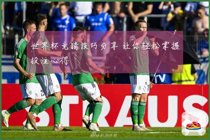 世界杯竞猜技巧分享 让你轻松掌握投注心得