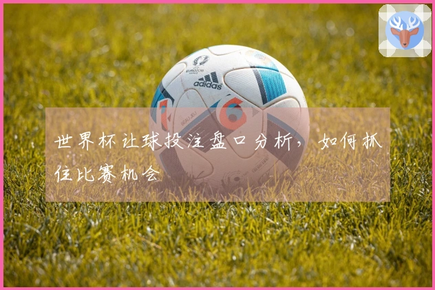 世界杯让球投注盘口分析，如何抓住比赛机会