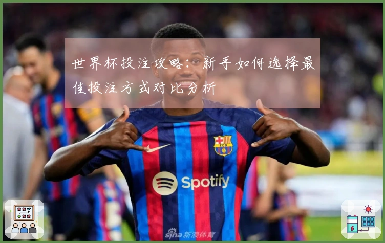 世界杯投注攻略：新手如何选择最佳投注方式对比分析